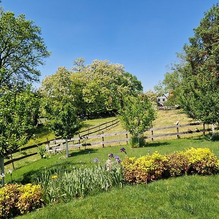 Gite Terre D'Helene 4 A 5 Pers Proche Strasbourg 42 M2, 3 Etoiles, Wifi, Paisible, Jardin, Proche Commerces,16 Atouts, Animaux Acceptes Berstett Екстериор снимка