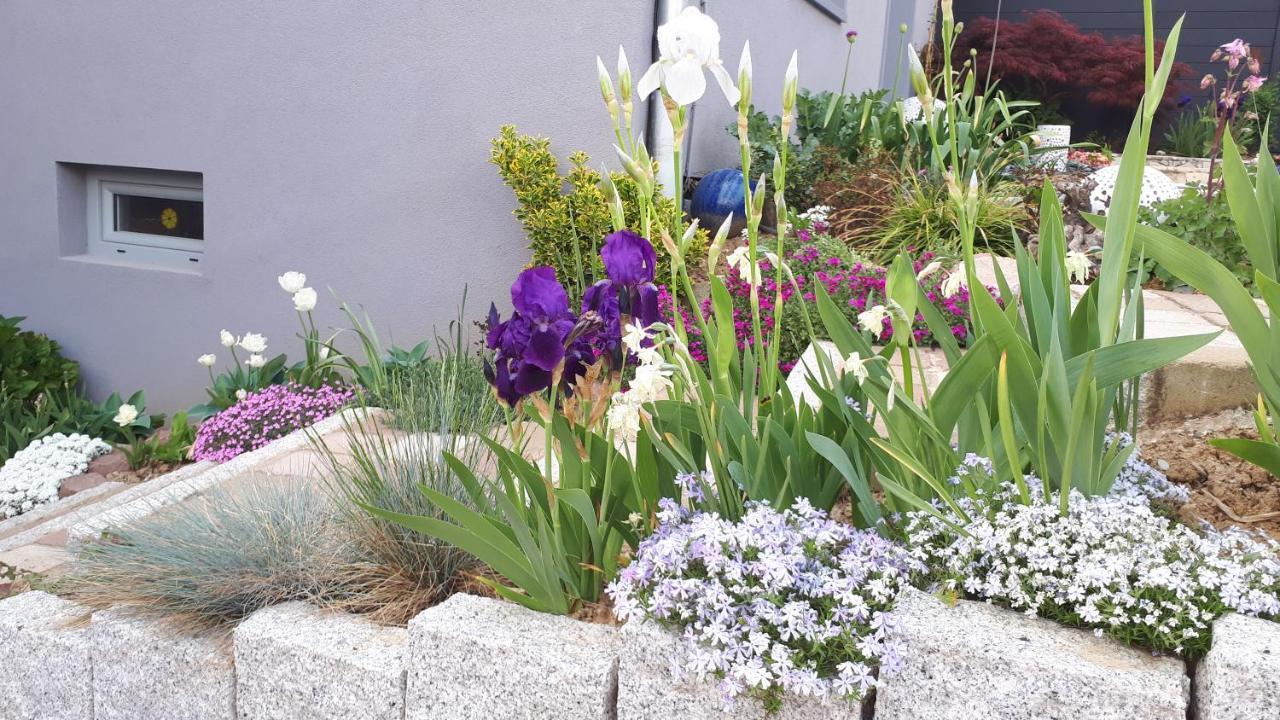 Gite Terre D'Helene 4 A 5 Pers Proche Strasbourg 42 M2, 3 Etoiles, Wifi, Paisible, Jardin, Proche Commerces,16 Atouts, Animaux Acceptes Berstett Екстериор снимка