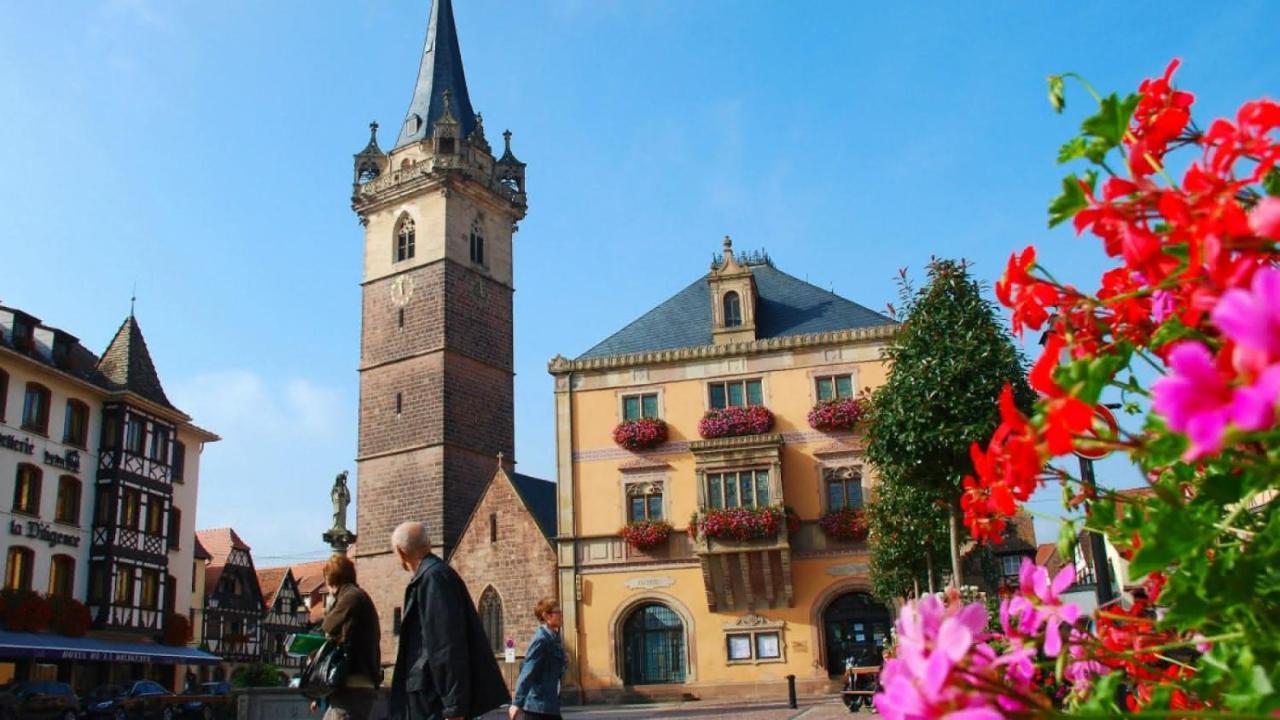 Gite Terre D'Helene 4 A 5 Pers Proche Strasbourg 42 M2, 3 Etoiles, Wifi, Paisible, Jardin, Proche Commerces,16 Atouts, Animaux Acceptes Berstett Екстериор снимка