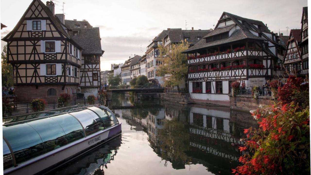 Gite Terre D'Helene 4 A 5 Pers Proche Strasbourg 42 M2, 3 Etoiles, Wifi, Paisible, Jardin, Proche Commerces,16 Atouts, Animaux Acceptes Berstett Екстериор снимка