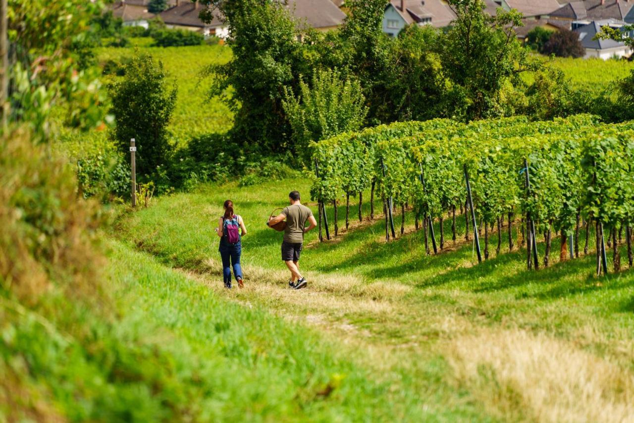 Gite Terre D'Helene 4 A 5 Pers Proche Strasbourg 42 M2, 3 Etoiles, Wifi, Paisible, Jardin, Proche Commerces,16 Atouts, Animaux Acceptes Berstett Екстериор снимка