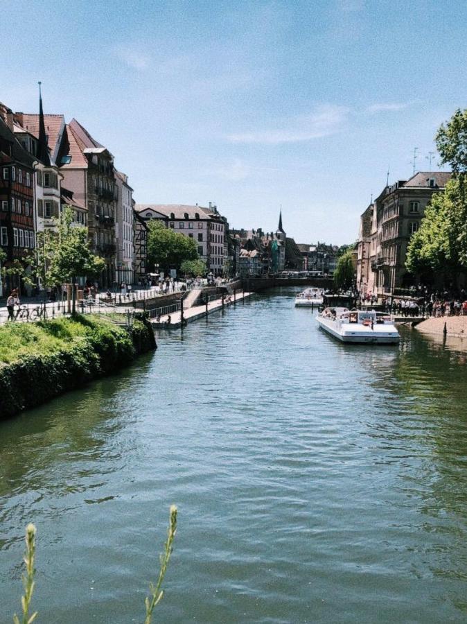 Gite Terre D'Helene 4 A 5 Pers Proche Strasbourg 42 M2, 3 Etoiles, Wifi, Paisible, Jardin, Proche Commerces,16 Atouts, Animaux Acceptes Berstett Екстериор снимка