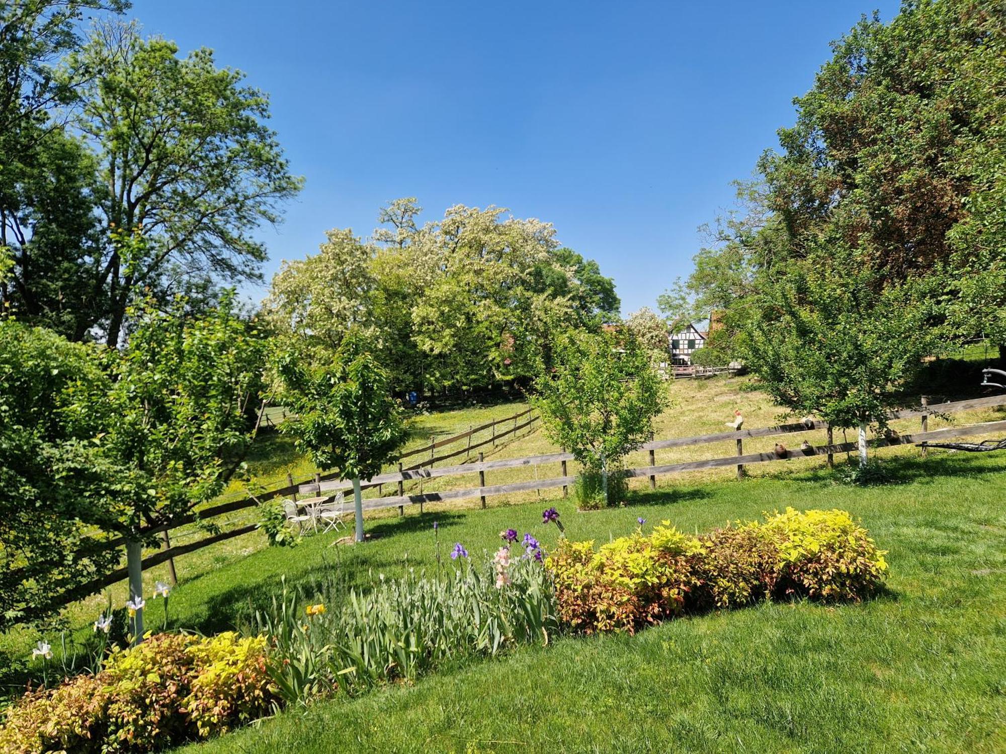 Gite Terre D'Helene 4 A 5 Pers Proche Strasbourg 42 M2, 3 Etoiles, Wifi, Paisible, Jardin, Proche Commerces,16 Atouts, Animaux Acceptes Berstett Екстериор снимка
